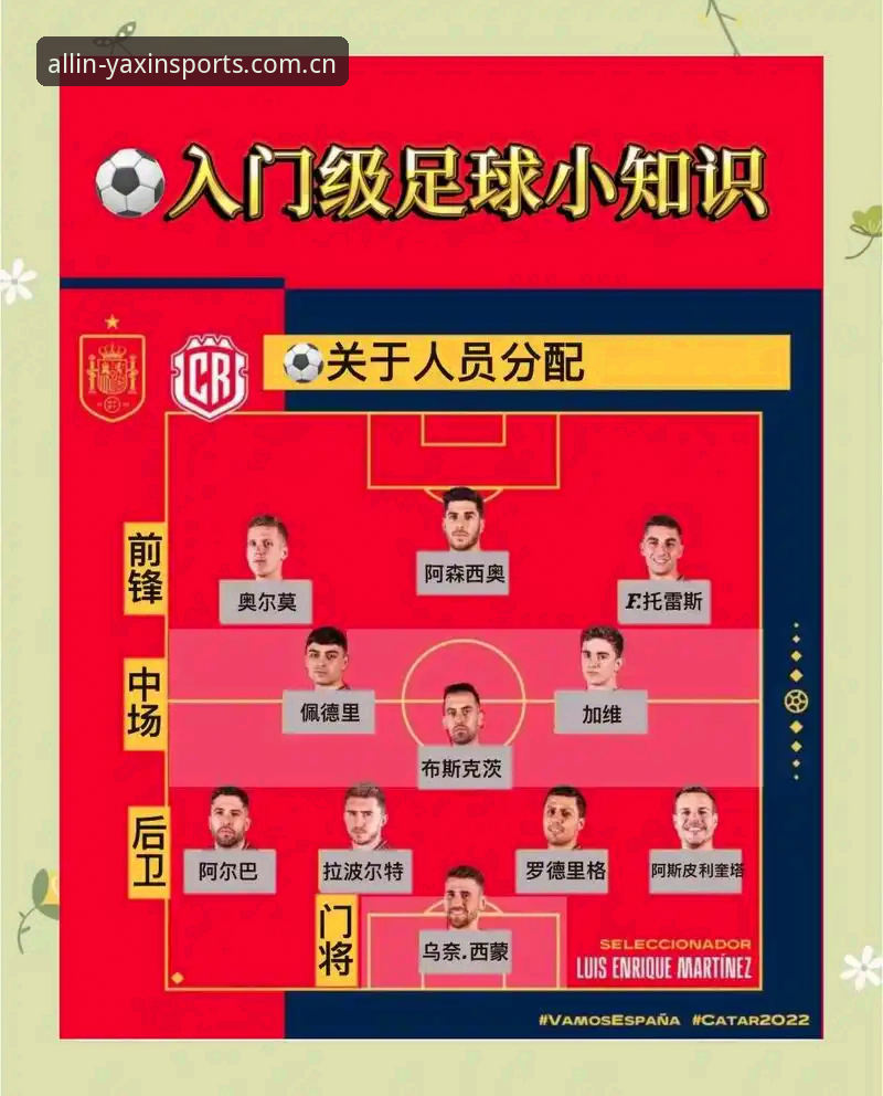亚新体育赛事资讯功能详解：新手入门与深度体验的全面对比
